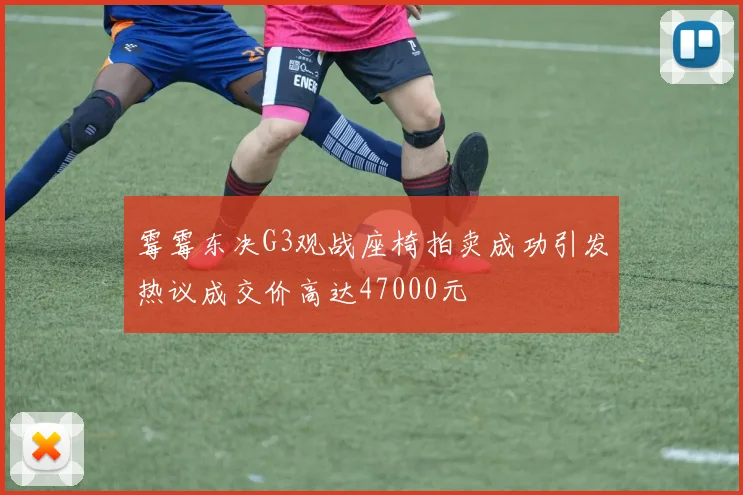 霉霉东决G3观战座椅拍卖成功引发热议成交价高达47000元